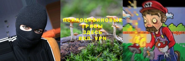 сатива Осташков